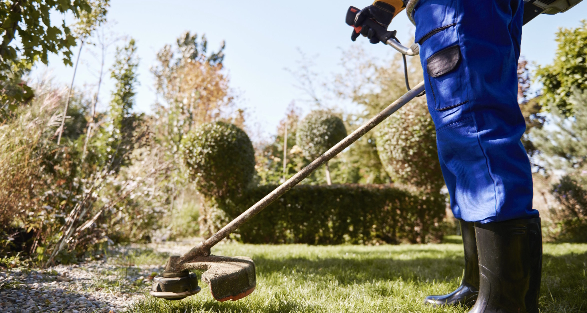 Expert Yard Service in Spring, TX: Your Key to Outdoor Bliss