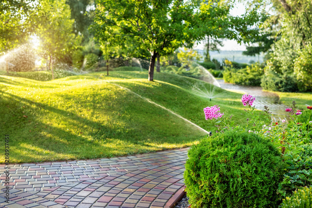 Exceptional Lawn Maintenance in The Woodlands, TX!