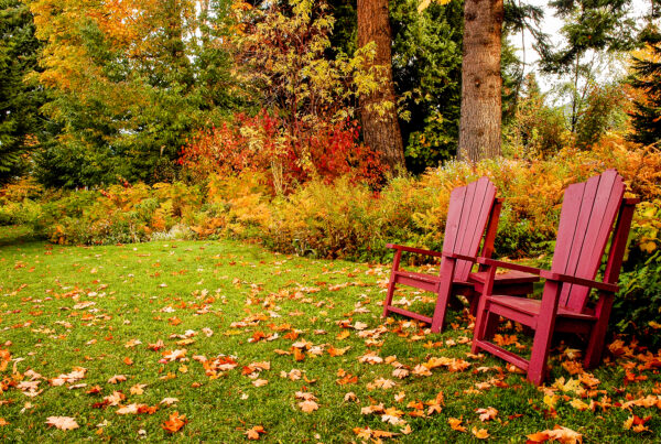 Fall Lawn Care Services