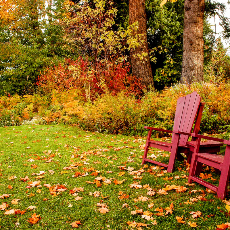 Fall Lawn Care Services