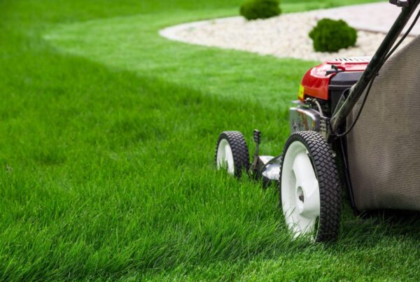 Lawn Care in The Woodlands