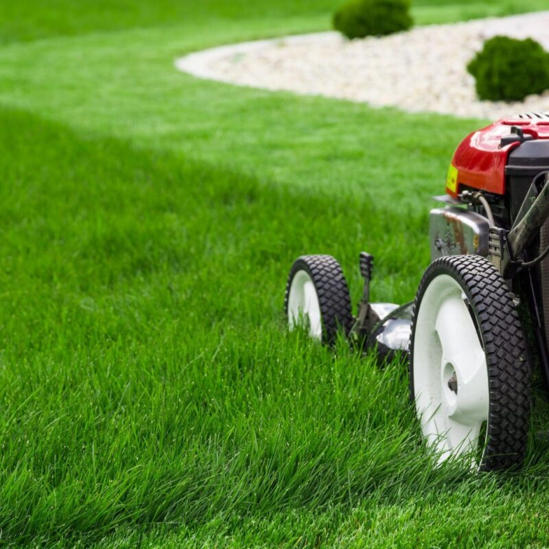 Lawn Care in The Woodlands