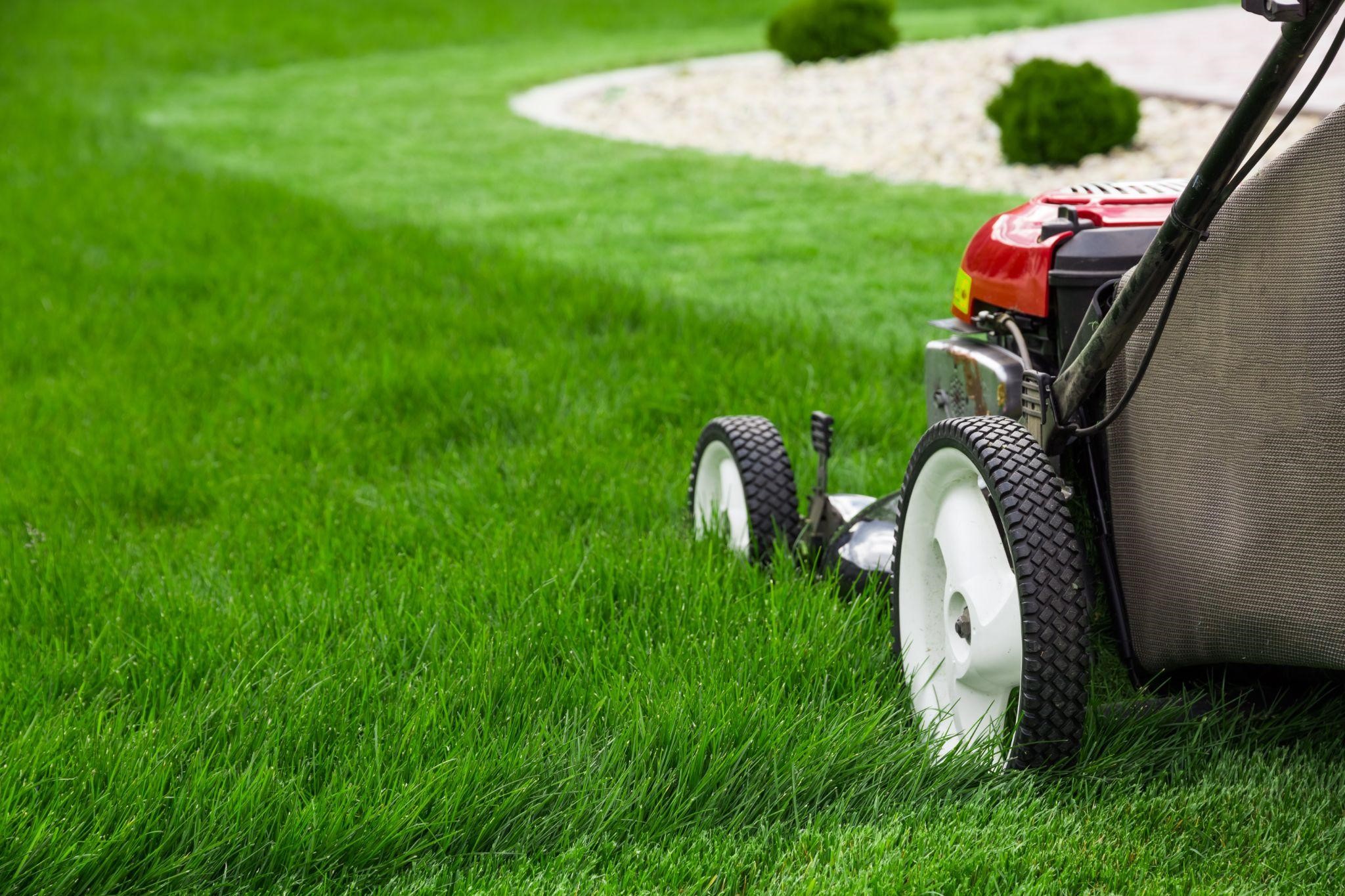 Expert Lawn Care in The Woodlands: Where Quality Meets Beauty