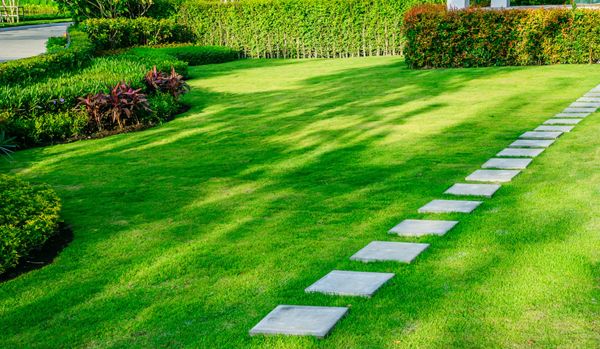 Quality Lawn Care Near Spring, TX: Beautify Your Outdoor Space