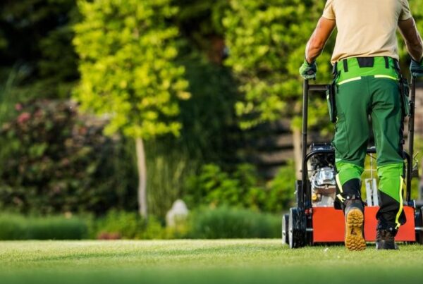 Guide to Exceptional Lawn Care