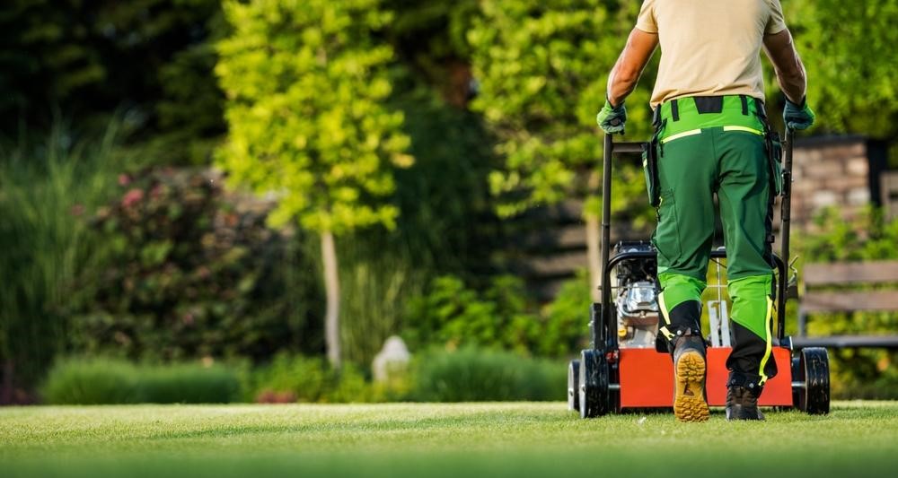 Your Guide to Exceptional Lawn Care