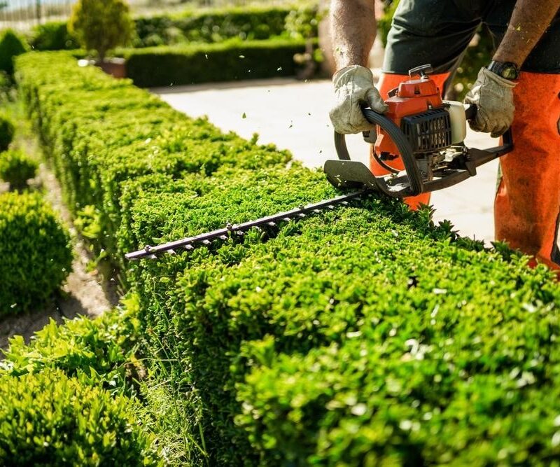 Lawn Maintenance in The Woodlands