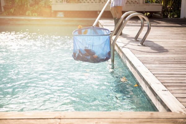 expert pool cleaning and maintenance