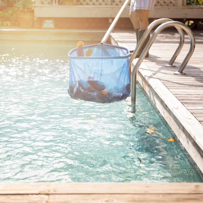 expert pool cleaning and maintenance