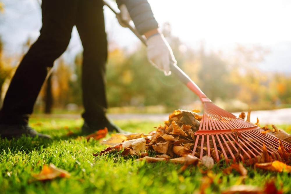 Expert Lawn Care Services in Spring, TX: Nurture Your Lawn to Perfection