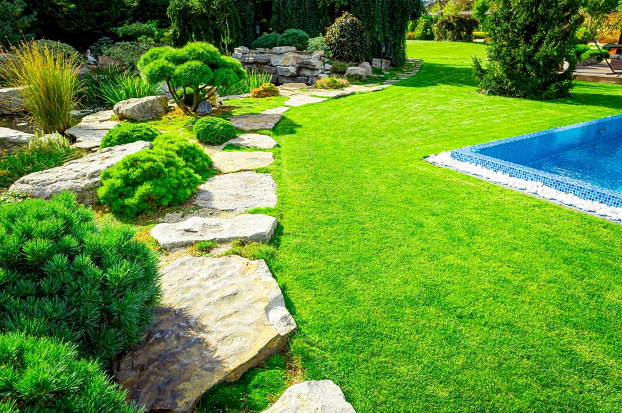 The Woodlands’ Premier Lawn Service: Trustworthy Experts for a Beautiful Yard