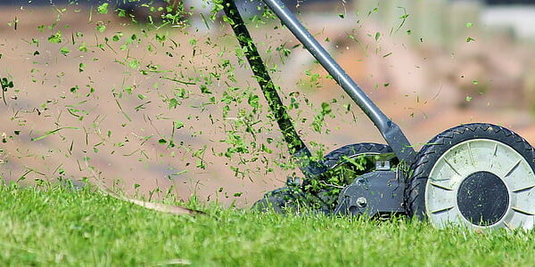 green lawn in The Woodlands