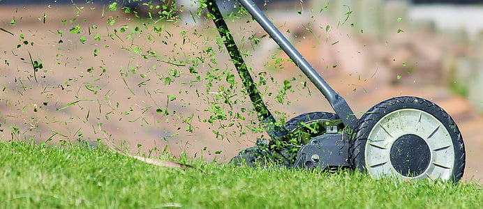 Professional Lawn Care Services in The Woodlands: Keeping Your Lawn Beautiful